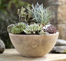 Blumen Pflanz Schale "Herz"