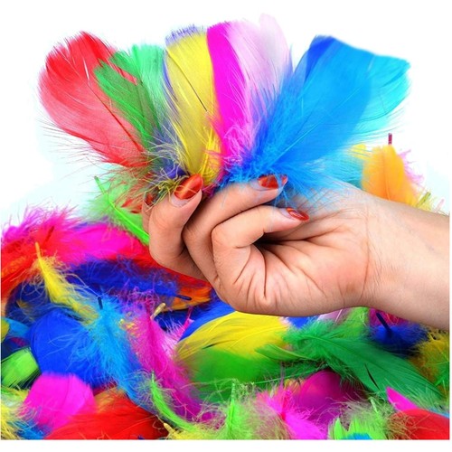 Bunte federn naturfedern - federn,