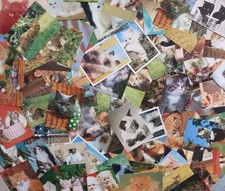Über 100 Postkarten KATZEN AK