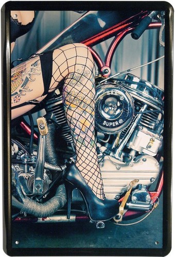 Blechschild 20x30 tattoo - blechschild,