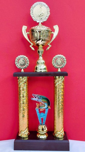 Pokal angeln fischen - pokal,