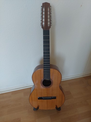 Saitige akustikgitarre 12 - 12,