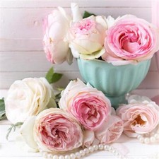 20 Servietten Rosen Blumen