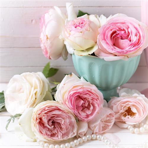 Servietten rosen blumen - servietten,