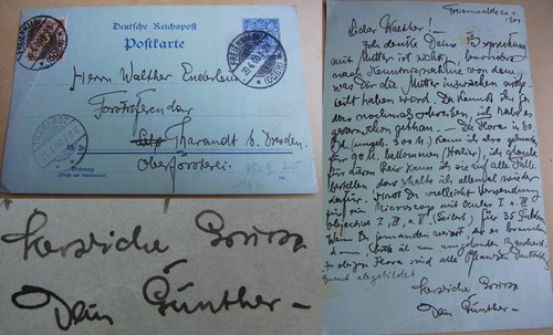 Entomologe günther enderlein - günther,