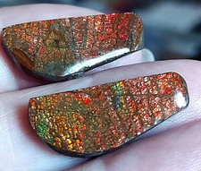 2 Grün -rote Drachenschuppen