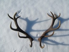 Starke Abwurfstange Paar