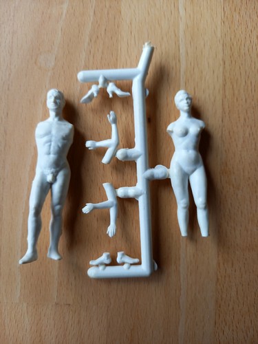 Historex anatomie figuren - anatomie,
