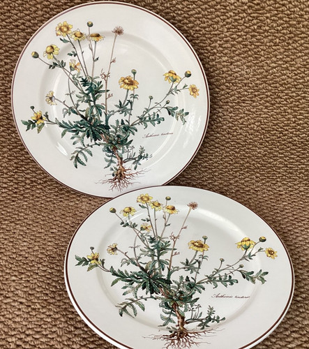 Villeroy boch - villeroy, &