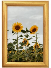 Holz mit Furnierung in Gold