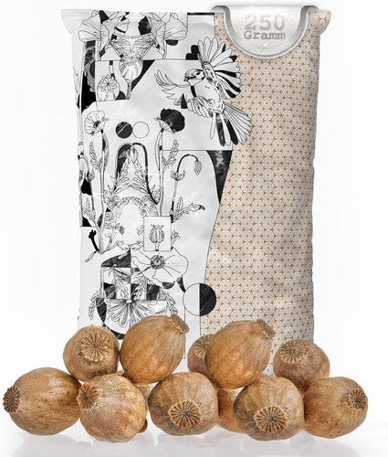 Mohnkapseln poppy pods - poppy, |