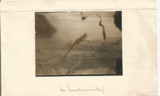 Foto: Ltn. Immelmann im Flug