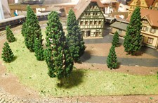 50 dunkelgrüne Tannen