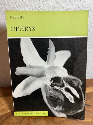 Ophrys die orchideen - die,