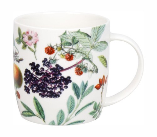 Könitz tasse früchte - könitz,