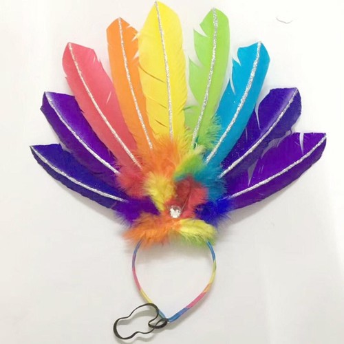 Karneval federkopfschmuck - karneval,