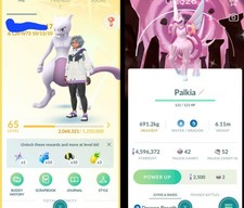 Pokémon GO Account – Level
