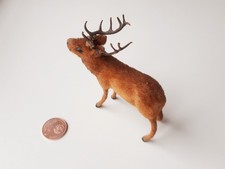 Hirsch Wagner Künstlerschutz