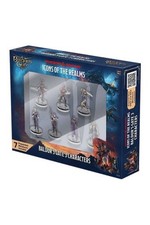 D&D Icons of the Realms