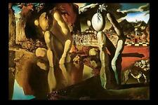 Dali  La metamorphose de