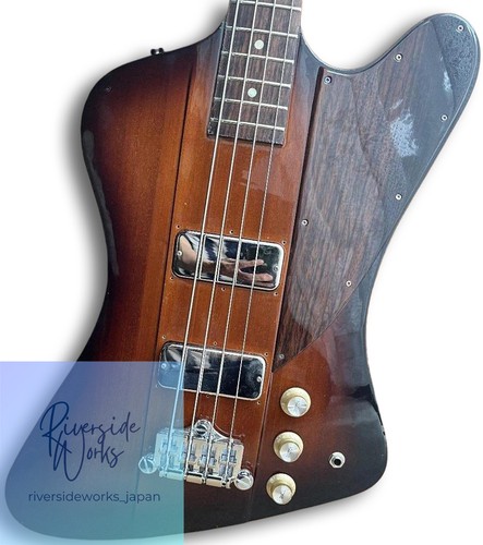 Epiphone thunderbird made - epiphone, in