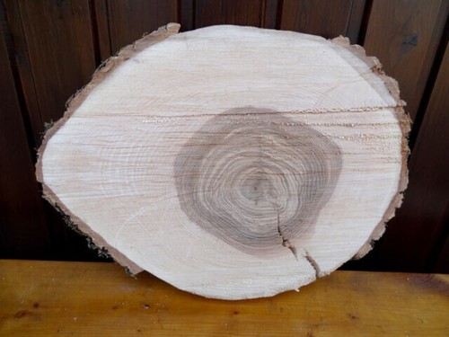 Esche escheholz maserknolle - escheholz,