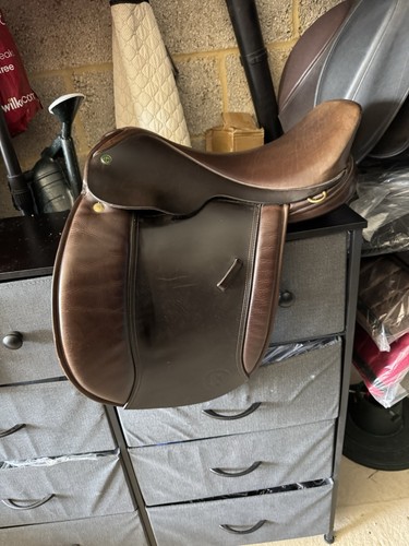 Zoll native pony - 17,