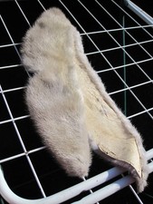 Vintage Damen Pelzstola Echtfellstola, Schal, Stola, Pelz Nerz silber