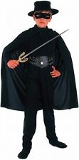 Jungen Justice /Zorro  Hero
