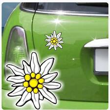 Autoaufkleber Edelweiß Auto Aufkleber Sticker Allgäu Alpen Verein Berge DA890 