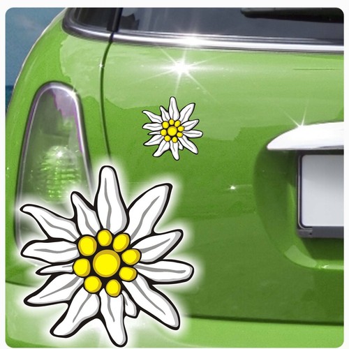Autoaufkleber edelweiß auto - autoaufkleber,