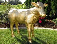 KALB Kuh LIESEL Lebensgroß cm