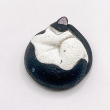 Katze zusammengerollt