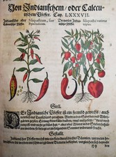 KRÄUTERBUCH 1586 ~800