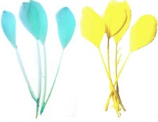 Feder Posten Gans Hochzeit