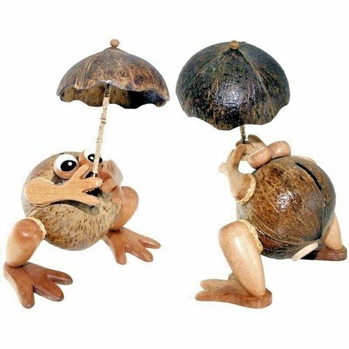 Sparbüchse kokos frosch - sparbüchse,,