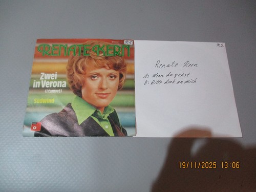 Single vinyl sammlung 2x - single,
