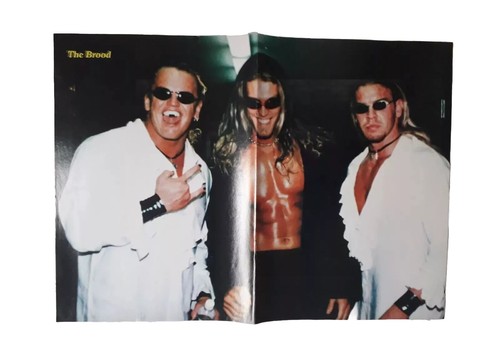 Wwf the brood - a3, poster