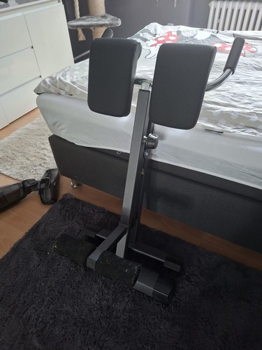 Rückentrainer