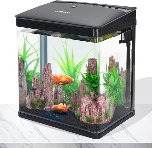 Nobleza glas - glas,