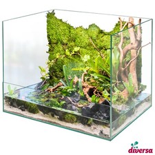 diversa Paludarium 40x30x30cm
