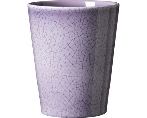 Orchideenvase orchideentopf - orchideenvase,