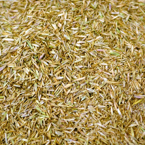 Kräuterwiese saatgutmischung - kräuterwiese,