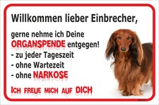Schild Vorsicht - Dackel