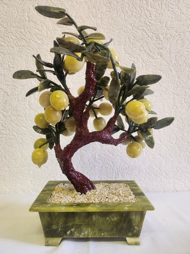Großer bonsai baum - großer, bonsai-baum