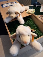 2x Steiff 082481 Bose Boeky