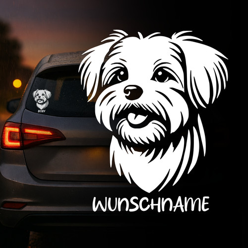 Malteser hund auto - hund, aufkleber