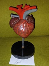 Herz Model Amphibie DDR