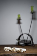 Echter Mink Schädel - Präparat, Deko, Sammlerstück, Naturalia, Tier Knochen