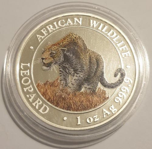 Somalia leopard 100 shillings